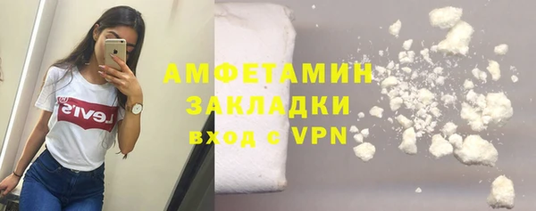 молекула духа Арсеньев