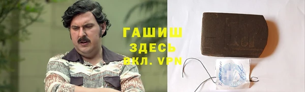 гидра Горнозаводск