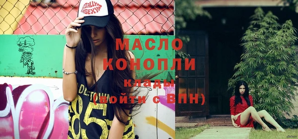 молекула духа Арсеньев