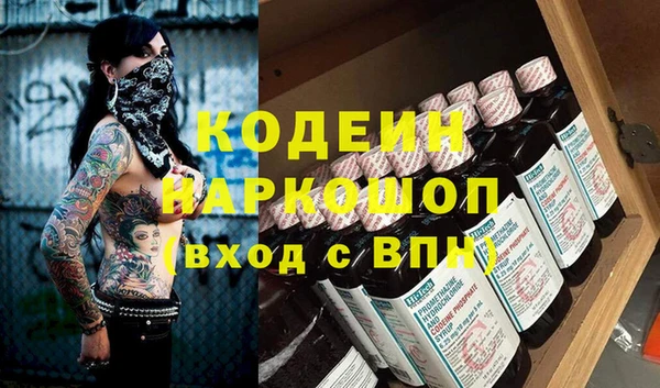 молекула духа Арсеньев