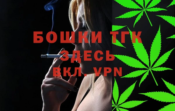 молекула духа Арсеньев