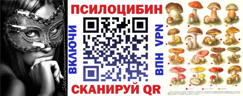 hydra как зайти  Нефтекумск  Псилоцибиновые грибы прущие грибы  наркошоп 